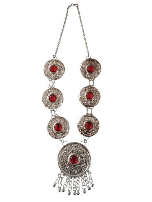 BookMyCostume Kashmiri Indian State Fancy Dress Costume for Girls and Females