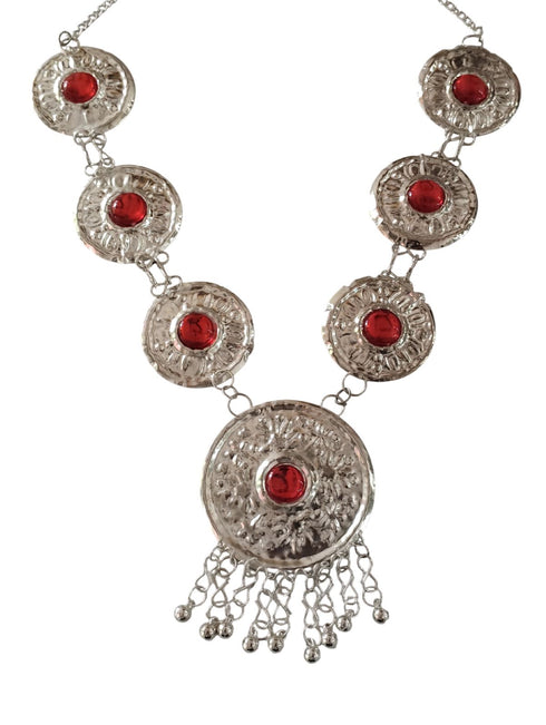 BookMyCostume Kashmiri Indian State Fancy Dress Costume for Girls and Females