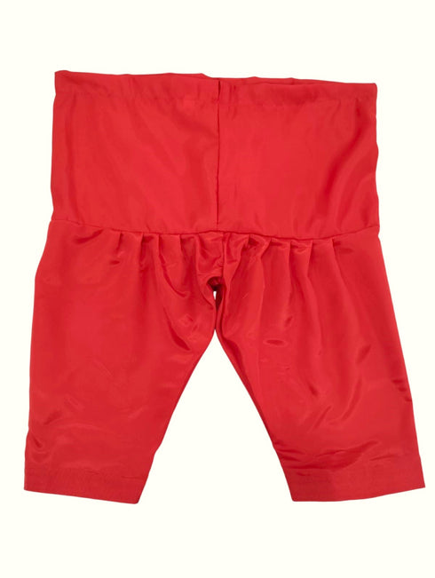 BookMyCostume Kashmiri Indian State Fancy Dress Costume for Girls and Females