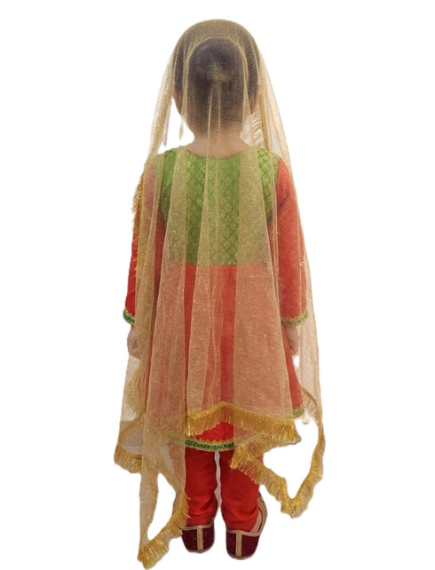 Kathak Indian Classical Dance Costume for Girls | Kids & Adults | Without Jewellery Fancy Dress Costume
