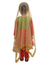 Kathak Indian Classical Dance Costume for Girls | Kids & Adults | Without Jewellery Fancy Dress Costume