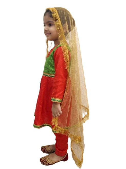 Kathak Indian Classical Dance Costume for Girls | Kids & Adults | Without Jewellery Fancy Dress Costume