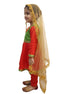 Kathak Indian Classical Dance Costume for Girls | Kids & Adults | Without Jewellery Fancy Dress Costume