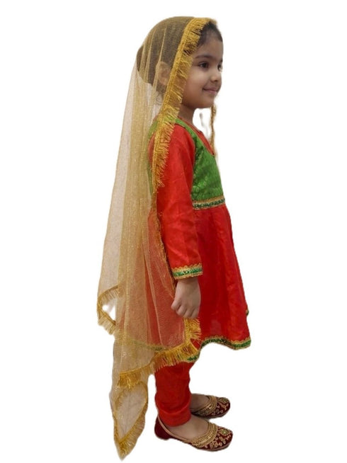 Kathak Indian Classical Dance Costume for Girls | Kids & Adults | Without Jewellery Fancy Dress Costume