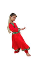 BookMyCostume Kathak Indian Classical Dance Costume for Girls | Kids & Adults | Without Jewellery Fancy Dress Costume
