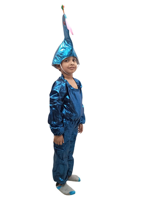 Peacock Bird Kids Fancy Dress Costume