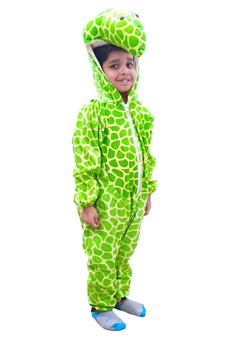 Tortoise Aquatic Animal Kids Fancy Dress Costume