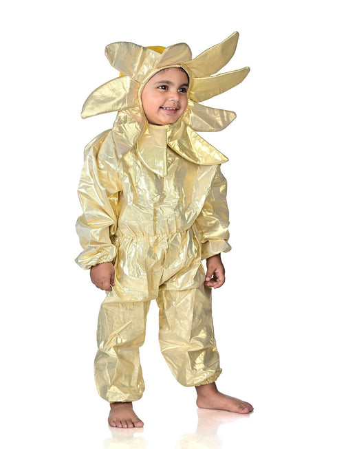 BookMyCostume Sun Nature Kids Fancy Dress Nature Costume