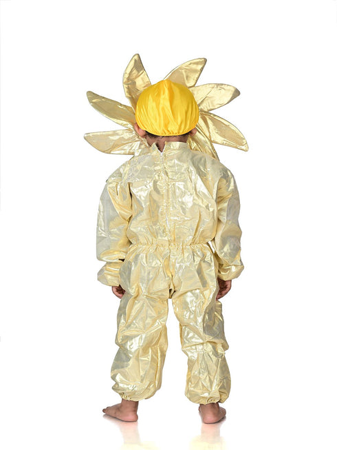 BookMyCostume Sun Nature Kids Fancy Dress Nature Costume