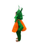 BookMyCostume Orange Santra Kinnow Fruit Kids Fancy Dress Costume