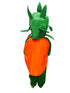 BookMyCostume Orange Santra Kinnow Fruit Kids Fancy Dress Costume