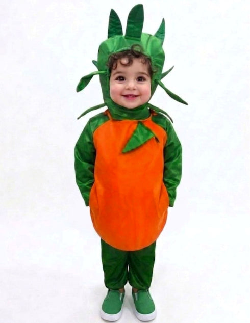 Orange Santra Kinnow Fruit Kids Fancy Dress Costume