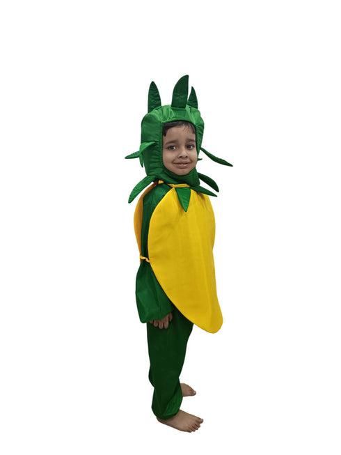 BookMyCostume Mango Fruit Kids Fancy Dress Costume