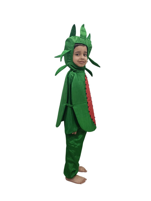BookMyCosstume Watermelon Fruit Kids Fancy Dress Costume