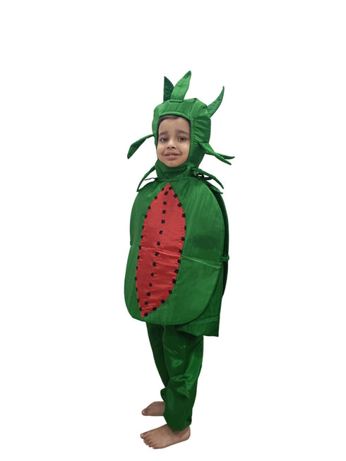 BookMyCosstume Watermelon Fruit Kids Fancy Dress Costume
