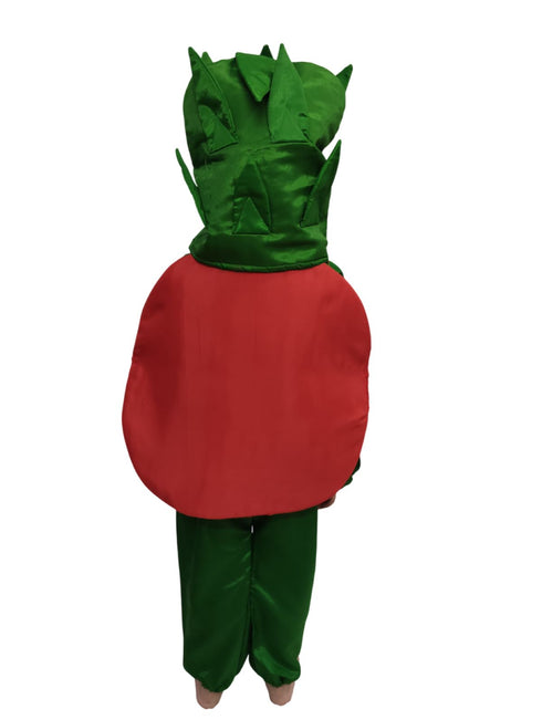 BookMyCostume Tomato Vegetable Kids Fancy Dress Costume