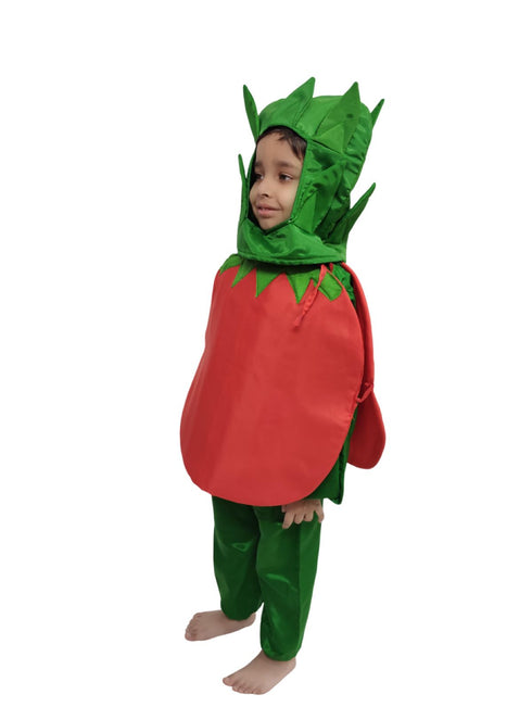 BookMyCostume Tomato Vegetable Kids Fancy Dress Costume