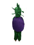 BookMyCostume Brinjal Eggplant Baingan Vegetable Kids Fancy Dress Costume