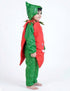 Carrot Gajar Vegetable Kids Fancy Dress Costume
