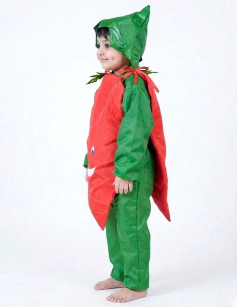 Carrot Gajar Vegetable Kids Fancy Dress Costume