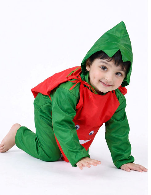 Carrot Gajar Vegetable Kids Fancy Dress Costume