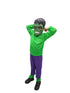 The Green Smasher Superhero Kids Fancy Dress Costume with Mask | Standard