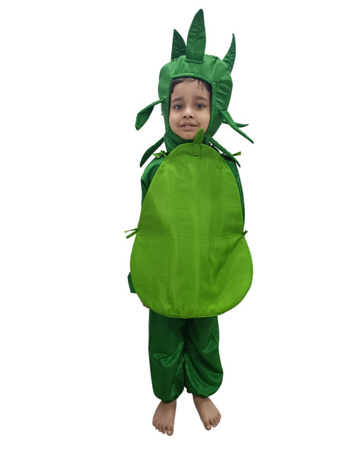BookMyCosstume Pear Fruit Kids Fancy Dress Costume