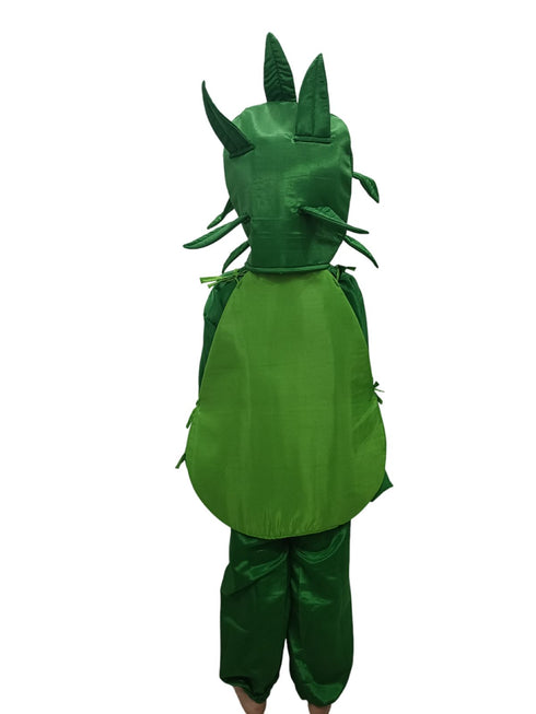BookMyCosstume Pear Fruit Kids Fancy Dress Costume