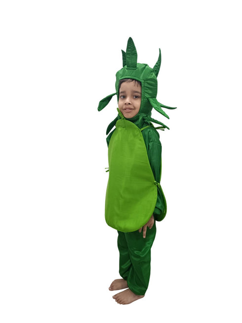 BookMyCosstume Pear Fruit Kids Fancy Dress Costume