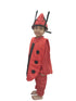 Ladybird Insects Kids Fancy Dress Costume