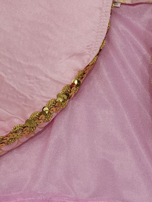 BookMyCostume Princess Aurora Sleeping Beauty Lotus Fairy tale Kids Fancy Dress Costume | Imported