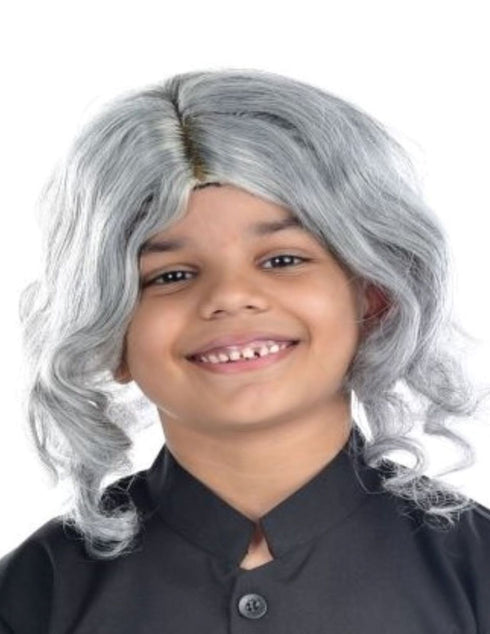 BookMyCostume Abdul Kalam & Old Man Grey Hair Wig Adult & Kids Fancy Dress Costume Accessory