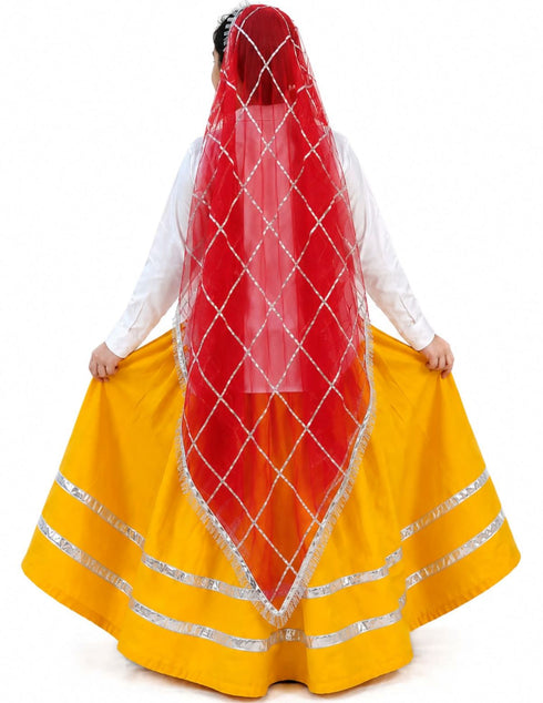 Haryana State Traditional Thel Costume for Girls and Women