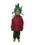 BookMyCostume Pomegranate Anar Fruit Kids Fancy Dress Costume