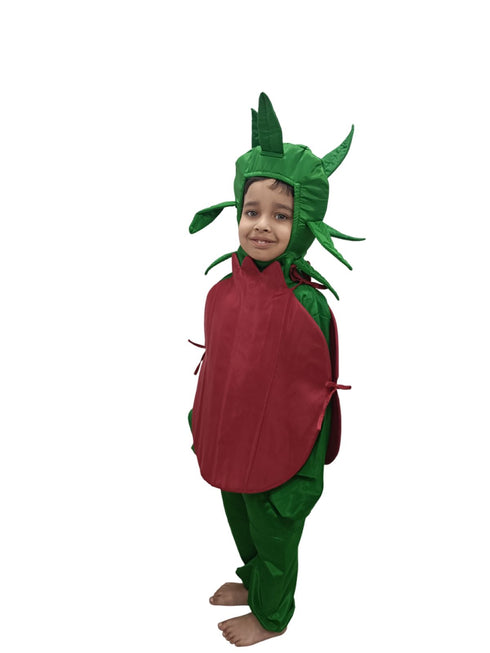 BookMyCostume Pomegranate Anar Fruit Kids Fancy Dress Costume