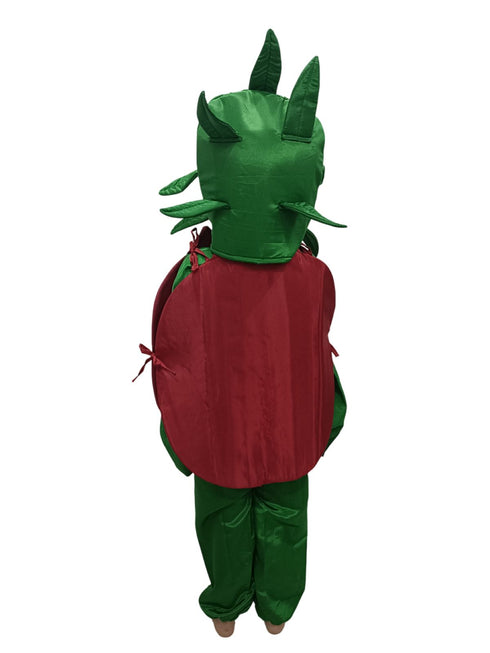 BookMyCostume Pomegranate Anar Fruit Kids Fancy Dress Costume