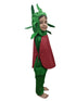 BookMyCostume Pomegranate Anar Fruit Kids Fancy Dress Costume