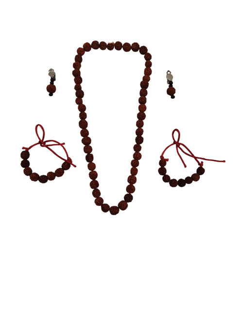 BookMyCostume Meera Mirabai Krishna Lover and Devotee Kids Fancy Dress Costume for Girls & Women