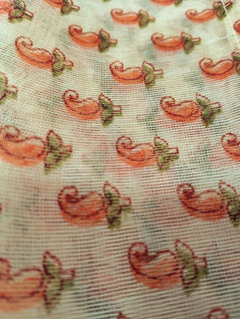 Teacher Profession Classic Saree Kids & Adults Fancy Dress Costume