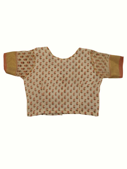 Teacher Profession Classic Saree Kids & Adults Fancy Dress Costume