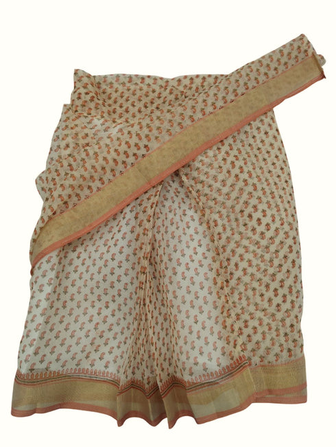 Teacher Profession Classic Saree Kids & Adults Fancy Dress Costume