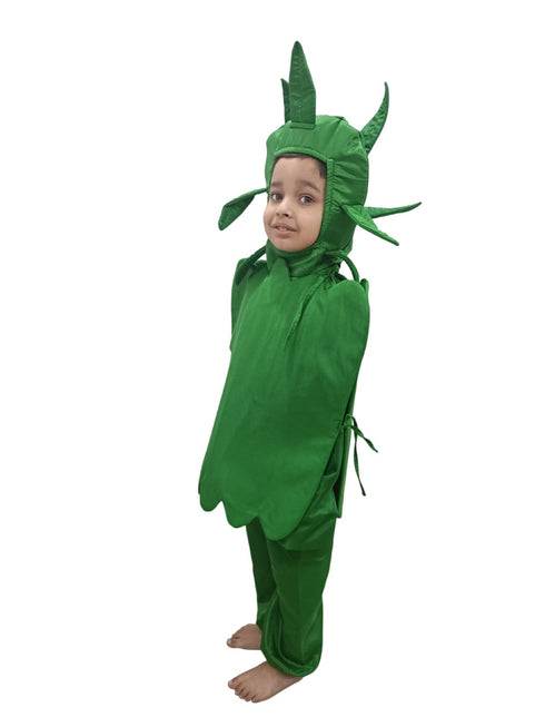 BookMyCostume Capsicum Bell Pepper Shimla Mirch Vegetable Kids Fancy Dress Costume