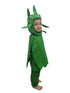 BookMyCostume Capsicum Bell Pepper Shimla Mirch Vegetable Kids Fancy Dress Costume