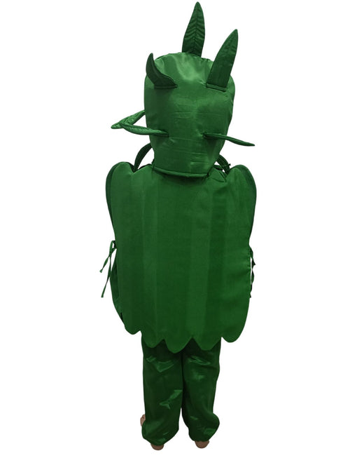 BookMyCostume Capsicum Bell Pepper Shimla Mirch Vegetable Kids Fancy Dress Costume