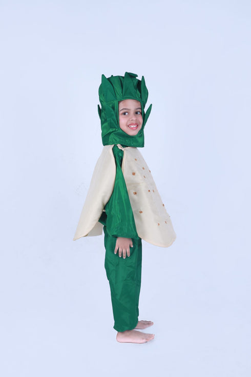 BookMyCostume Potato Aloo Vegetable Kids Fancy Dress Costume
