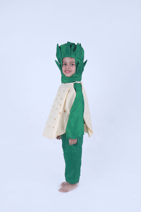 BookMyCostume Potato Aloo Vegetable Kids Fancy Dress Costume