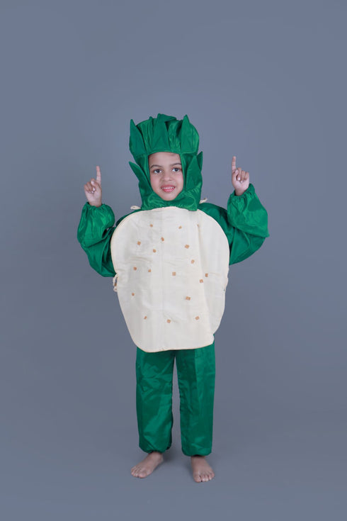 BookMyCostume Potato Aloo Vegetable Kids Fancy Dress Costume