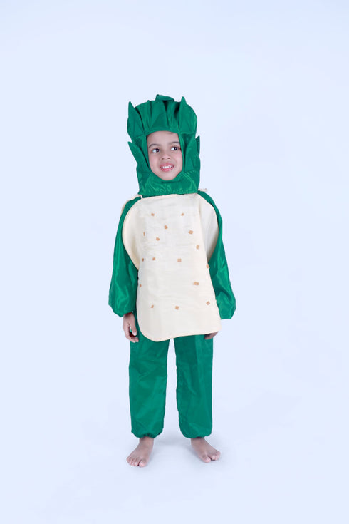 BookMyCostume Potato Aloo Vegetable Kids Fancy Dress Costume