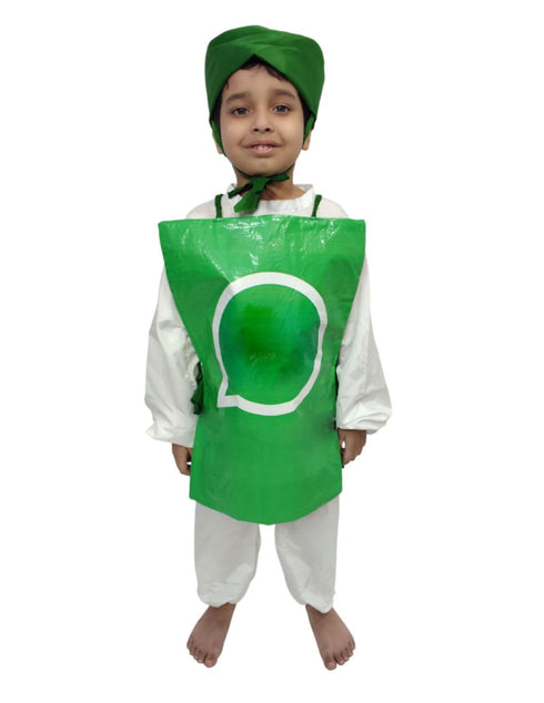 Whatsapp Social Media Messaging Technology Kids Fancy Dress Costume