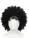 Black Curly Hair Wig Unisex Adult & Kids Fancy Dress Costume Accessory